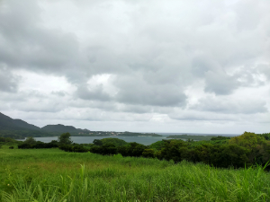 川平湾を望むパーキング